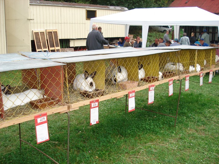 img00018.jpg