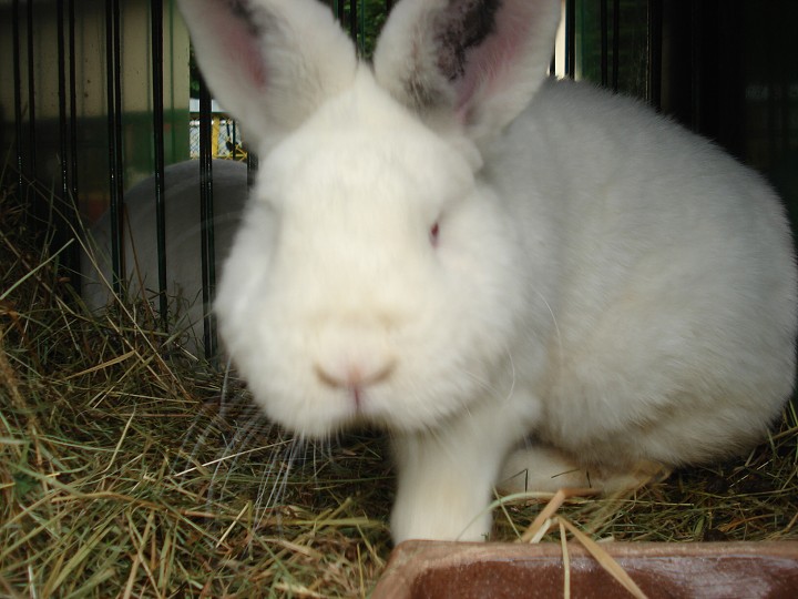 img00024.jpg