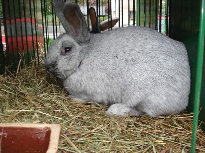 img00033.jpg