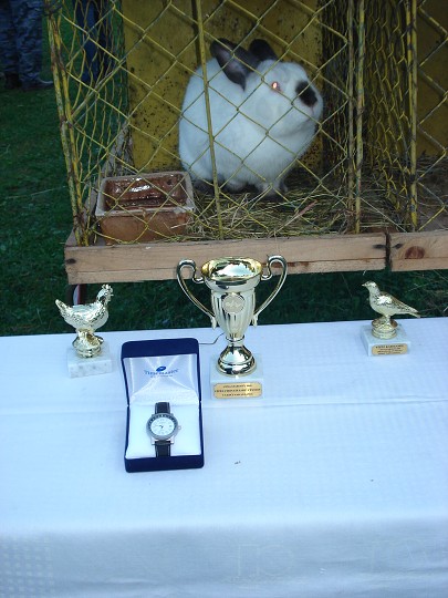 img00070.jpg