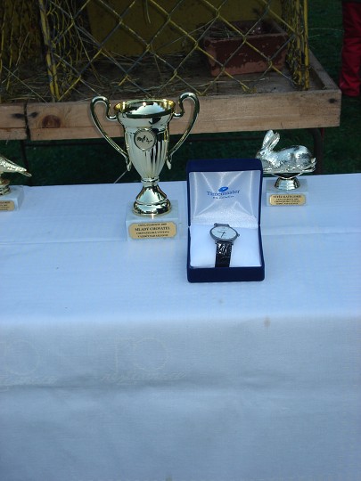 img00071.jpg