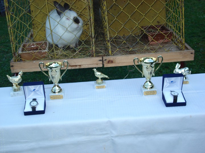 img00072.jpg