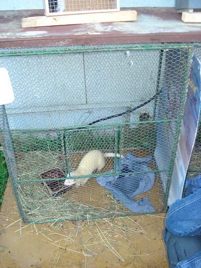 img00073.jpg