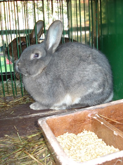 img00076.jpg