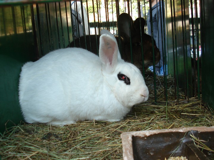 img00077.jpg