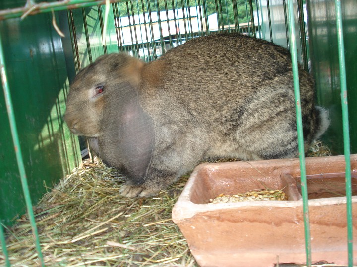 img00079.jpg