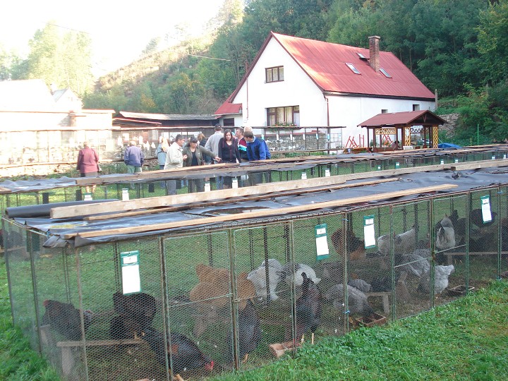 img00081.jpg