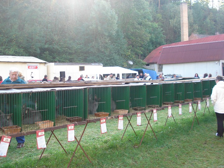 img00082.jpg