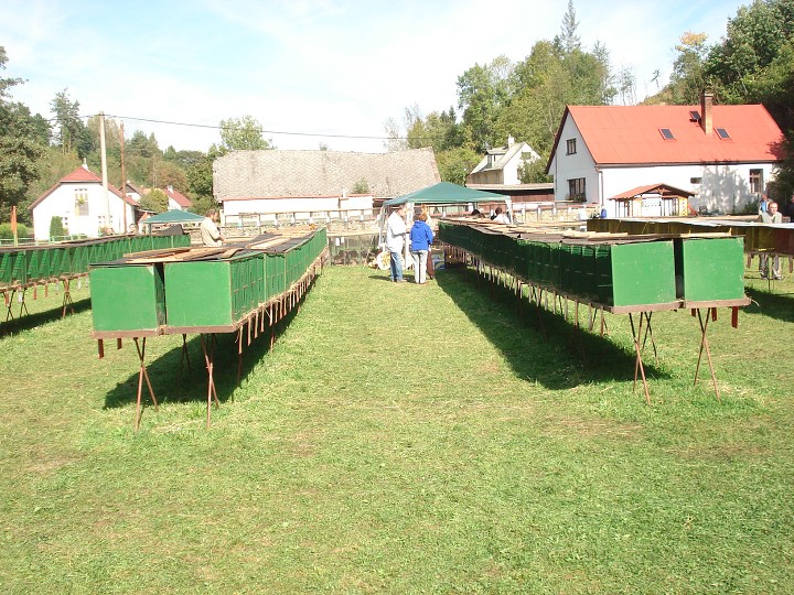 img00087.jpg