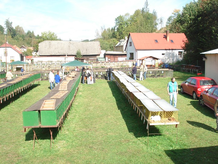 img00088.jpg